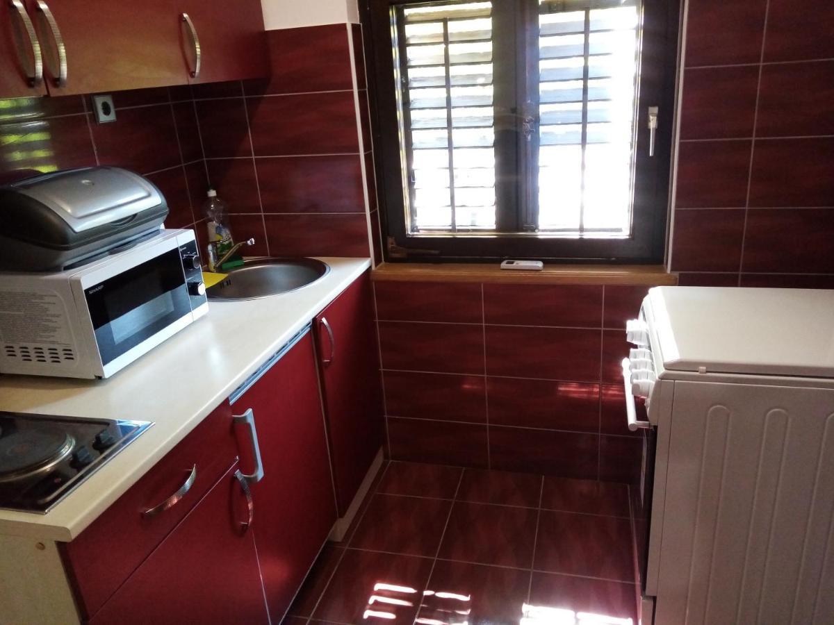 קרפינה Apartman Potocki מראה חיצוני תמונה