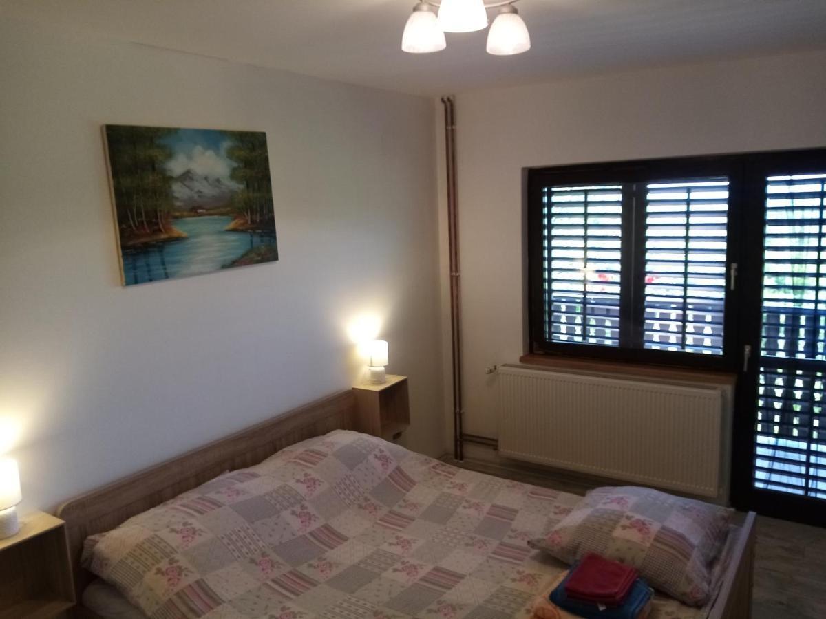 קרפינה Apartman Potocki מראה חיצוני תמונה